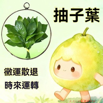 免運下殺💯【柚子葉吊墜】去晦氣掛件散黴運創意飾品好運運轉精美鑰匙扣