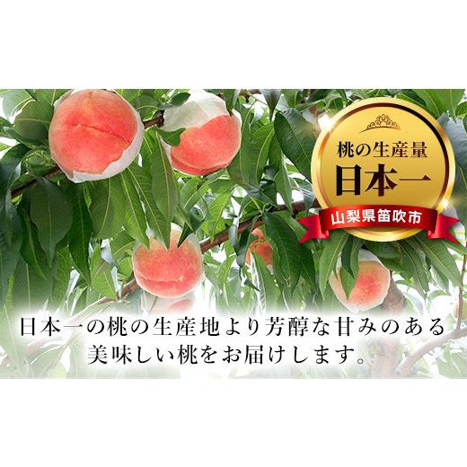 ふるさと納税 山梨県 笛吹市  ＜2024年先行予約＞山梨県 笛吹市産 朝獲り 新鮮 桃 3kg （7〜12玉） ※沖縄県・離島への発送不可となります。 ※常温配送 もも …