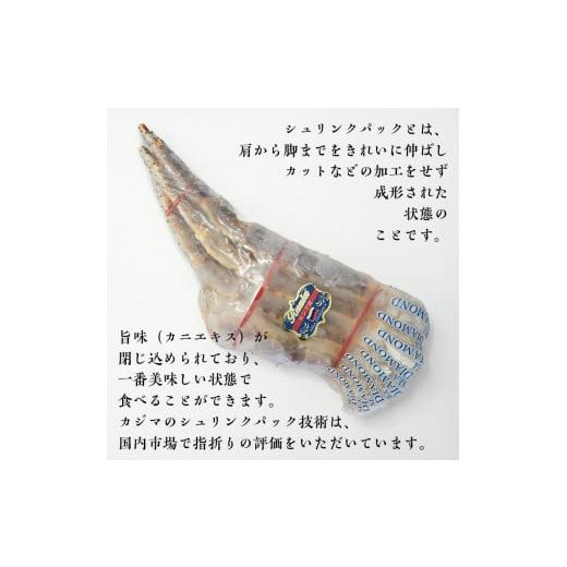 ふるさと納税 茨城県 大洗町 生たらばがに 0.8kg（総重量 1kg ） 特大 5L シュリンクパック カジマ たらば蟹 タラバガニ たらばがに かに カニ 蟹