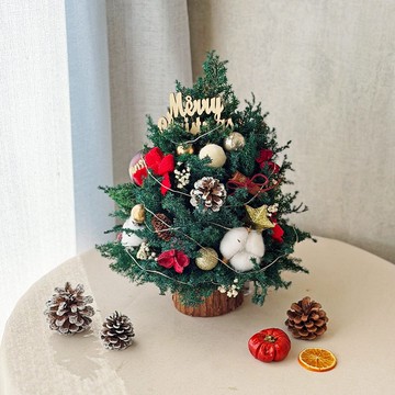 T24點亮心願聖誕樹 / 永生雪松聖誕樹 聖誕節佈置