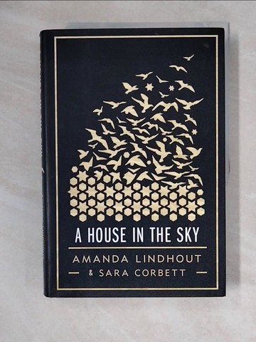 【書寶二手書T8／傳記_ZJ9】A House in the Sky_Lindhout, Amanda/ Corbett, Sara