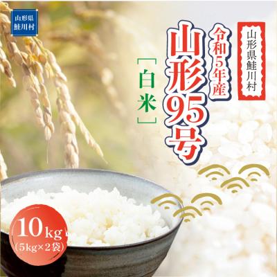 ふるさと納税 鮭川村 令和5年産　山形95号10kg(5kg×2袋)山形県鮭川村