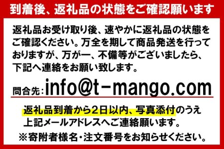 2024年発送 先行予約 ＜訳あり品＞ 豊見城市産完熟濃厚アップルマンゴー2kg（5～6玉）