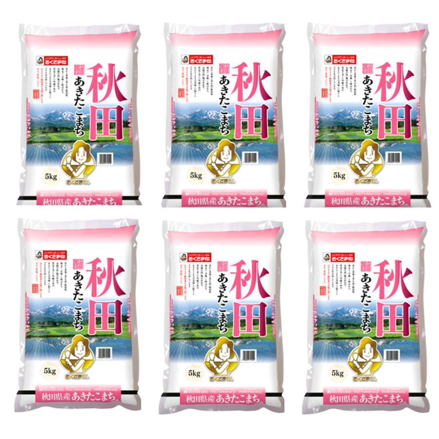秋田県産 あきたこまち 30kg(5kg×6) 30キロ お米 おこめ 精米 白米