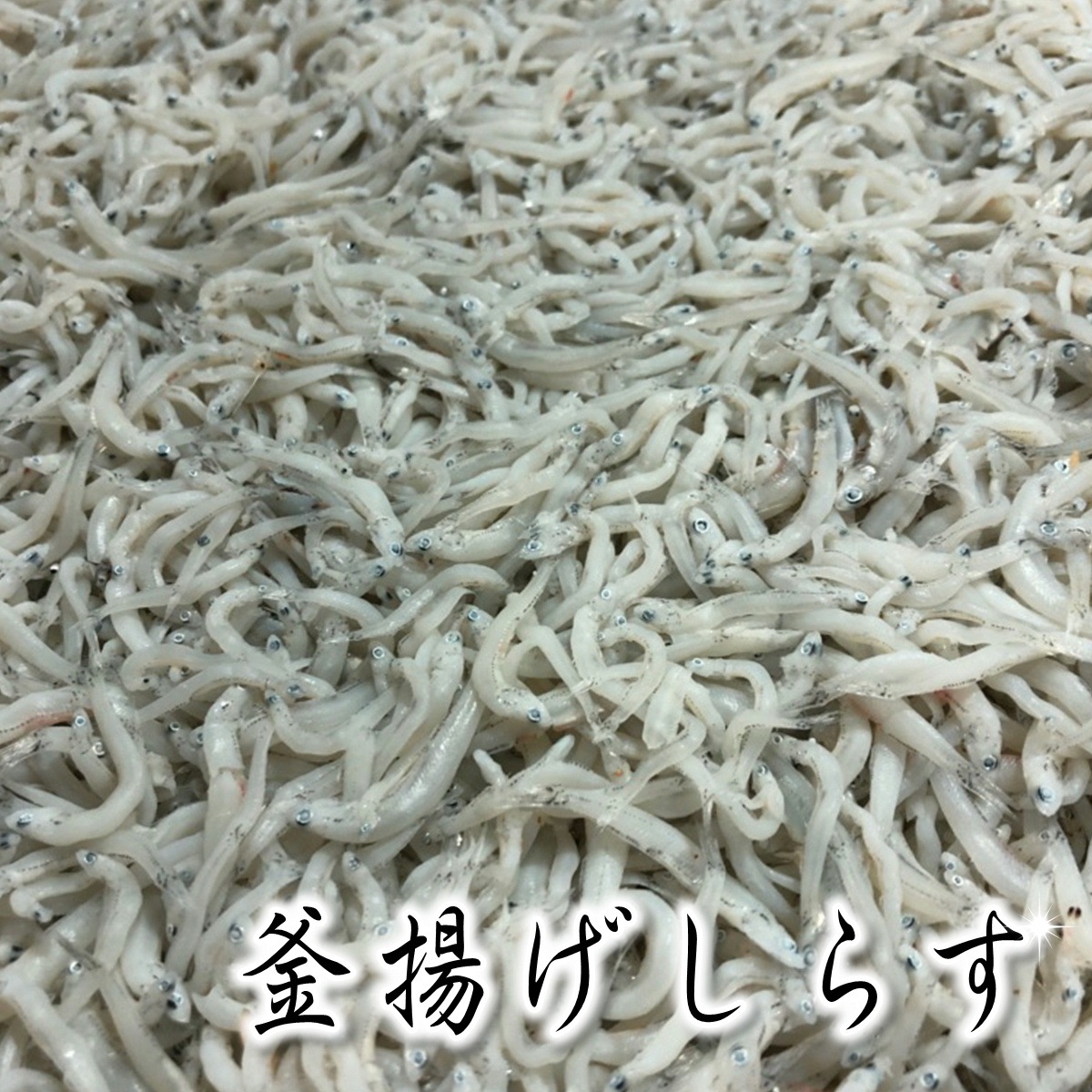 釜揚げ しらす 1ｋｇ 新物 小魚を毎日食べよう！冷凍便