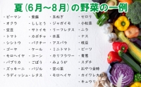 野菜 お楽しみ 定期便 2回 有機野菜 5～6品目 詰め合わせ セット 有機栽培 玉ねぎ とまと じゃがいも