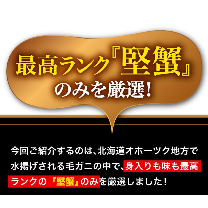 ポイント5倍 御歳暮 お歳暮 ギフト お正月 毛ガニ 北海道産 プレミアム毛蟹 超特大約1kg（3特・4特）1杯 送料無料 産地直送 Y凍