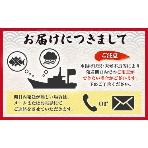 ふるさと納税 鹿児島県 鹿児島市 きびなご一夜干し、フライ用詰合せ 1kg　K100-001