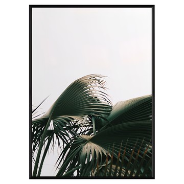 盛夏時分  50 x 70cm  黑色