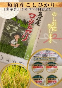 魚沼産コシヒカリ特上米５kg×６回定期便令和5年度産