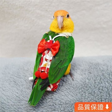 💥台灣出貨💥新年款鸚鵡鳥屎兜衣服虎皮牡丹玄鳳小型紙尿褲不濕屁兜飛行服 Om1J