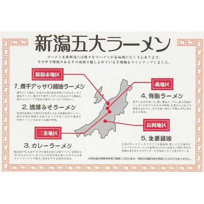 ラーメン 取り寄せ 名店 生麺 新潟五大ラーメン カレーラーメン1食袋 スープ 乾燥野菜付 お土産 ご当地ラーメン 電子レンジ調理 レンジでできる