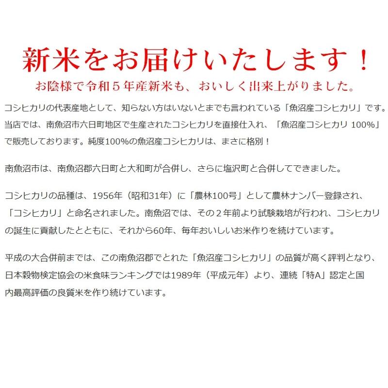 魚沼産コシヒカリ 1kg×5袋 5kg 新潟県産 米 お米 白米 新米 送料無料 南魚沼産