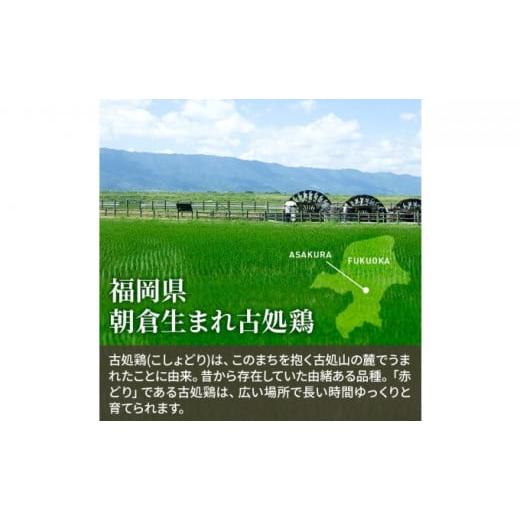 ふるさと納税 福岡県 朝倉市 古処鶏水炊きセット＜天野商店＞※配送不可：離島