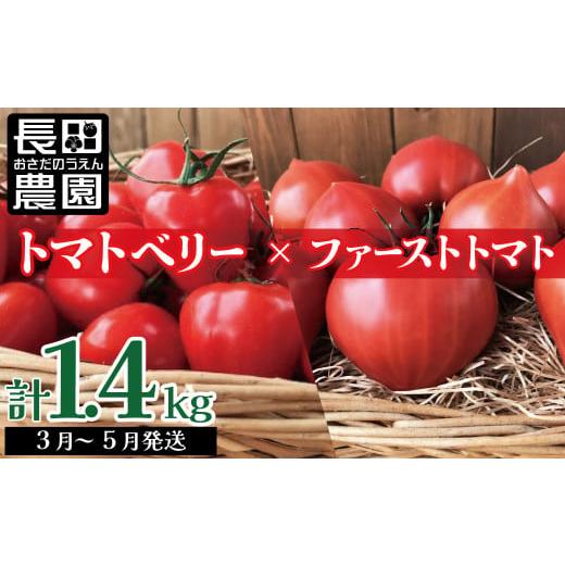 ふるさと納税 愛知県 碧南市 ファンにならずにいられない ファーストトマト＆トマトベリー 計1.4kｇ（3月〜5月で発送）　H004-149