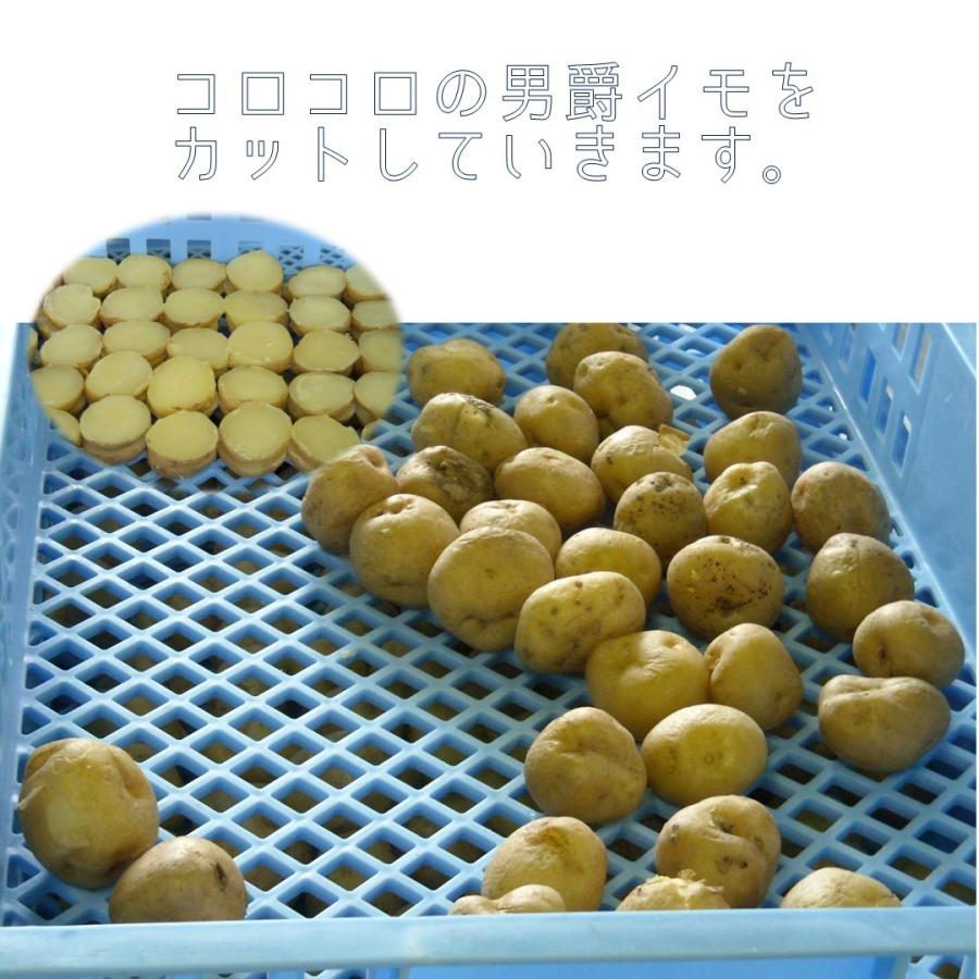 カドウフーズ　ポテトグラタン 35g×10個入×1P   北海道産 じゃがいも 牛乳 使用　トースターで チン 簡単調理