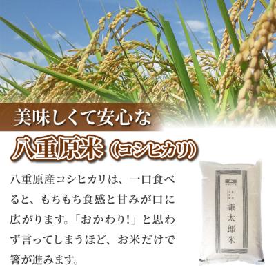 ふるさと納税 東御市 八重原産特別栽培米(栽培期間中減農薬・減化学肥料栽培)コシヒカリ白米1.2kg