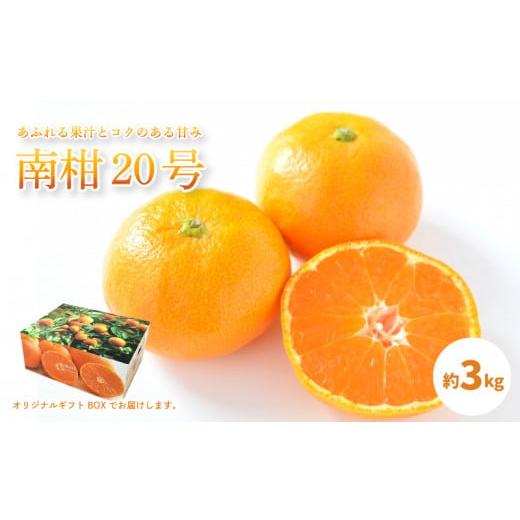 ふるさと納税 愛媛県 松山市  温州みかん 「 南柑20号 」＜ 秀品 ＞ 約3kg  ふるさとチョイス ふるさと納税 …