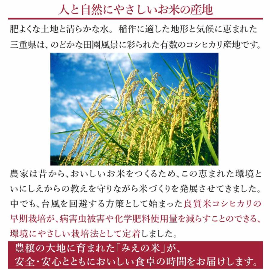 無洗米 10kg 5kg×2 コシヒカリ 三重県産 送料無料 米10kg お米10キロ 10キロ 米 お米 白米 精米 おこめ 宅配 送料無 安い 格安 令和5年産 新米 単一原料米