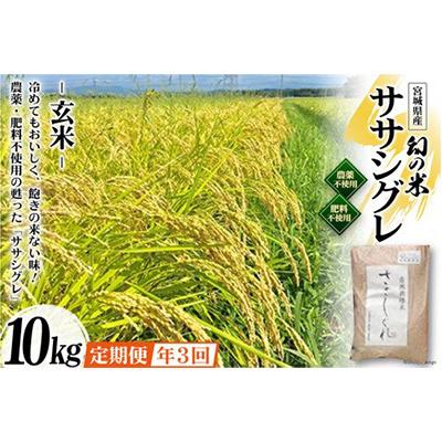 ふるさと納税 加美町 希少品種「ササシグレ」玄米10kg 全3回