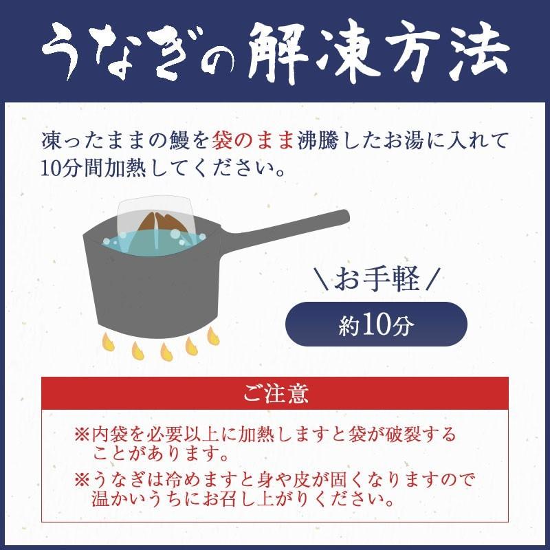 （3〜4.5人前）自宅用 国産うなぎ 蒲焼き 3尾 岐阜鰻たむろ極  ご褒美 お取り寄せ お取り寄せグルメ ご飯の友 送料無料 母の日 父の日 お歳暮 丑の日 高級