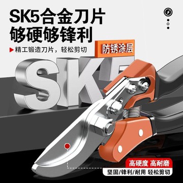 树枝剪 果樹剪 花枝剪 園林剪刀 德國卡瑪頓樹枝專用果樹枝剪花卉修花園藝剪刀果樹修枝剪園林工具