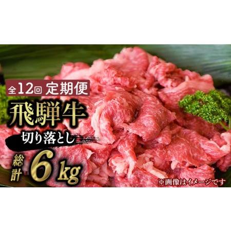 ふるさと納税 飛騨牛切り落とし 500g 和牛 ブランド牛 国産  [TAZ014] 岐阜県多治見市