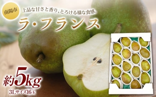  山形県産 ラ・フランス 約5kg詰め (12～16玉 3Lサイズ 《令和6年11月中旬～12月中旬発送》『最上屋』 洋梨 フルーツ 果物 山形県 南陽市 [1687]