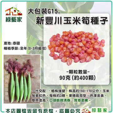 【綠藝家】大包裝G15.新豐川玉米筍種子90克(約400顆)(有藥劑)