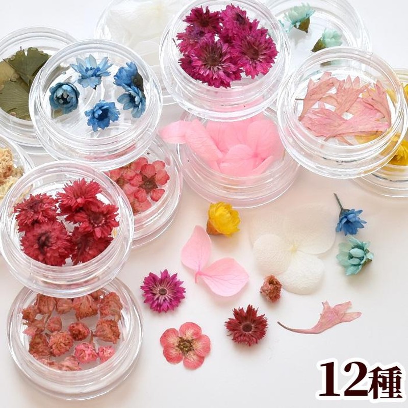 お花 の アソートセット 12種 □ ドライフラワー プリザーブドフラワー レジン液 mymama myr 花 花材 押し花 紫陽花 あじさい 封入  パーツ □ | LINEショッピング