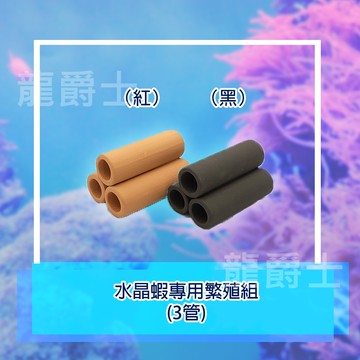 ✨現貨✨[龍爵士水族]水晶蝦專用繁殖組 裝飾品 造景 擺飾 飾品 擺件 魚缸造景 魚缸擺飾 魚躲藏 產卵工具  Z14