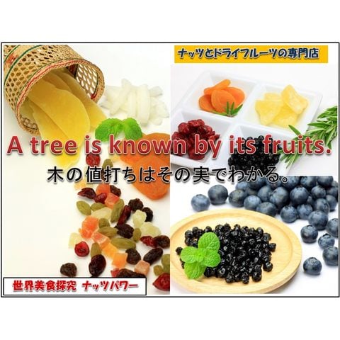 ブルーベリー 1kg ドライフルーツ アメリカ産 世界美食探究 ワイルド種 乾燥 製菓材料 製パン材料 おつまみ おやつ 国内加工