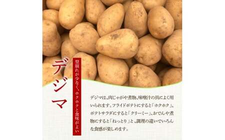 ★先行受付：2024年5月発送開始★大野台地で採れた 令和6年産新じゃがいも『デジマ』20kg 20キロ イモ ジャガイモ 芋 いも ポテト 野菜 おいしい ふっくら 旬 国産 お取り寄せ 送料無料