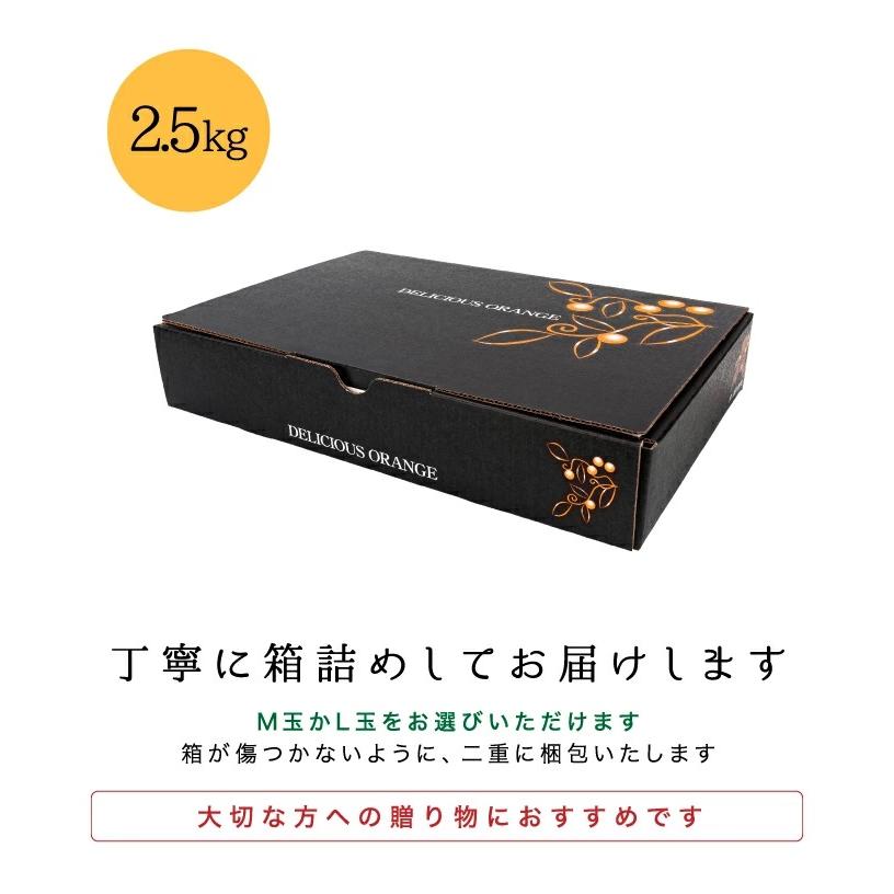 「贈答みかん2.5」 愛媛西宇和産みかん 贈答用2.5キロ