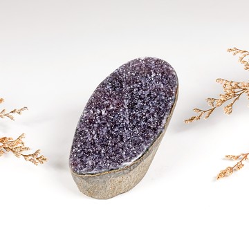 異象彩糖霜消磁盤 510362