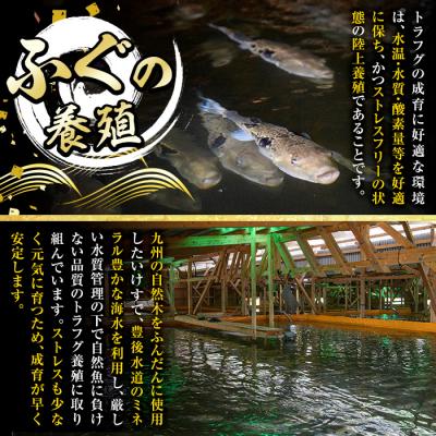 ふるさと納税 佐伯市 生簀直送 とらふぐ ぽん酢付き 刺し身 セット (刺し身×2皿・ヒレ×10g・皮スライス×60g)