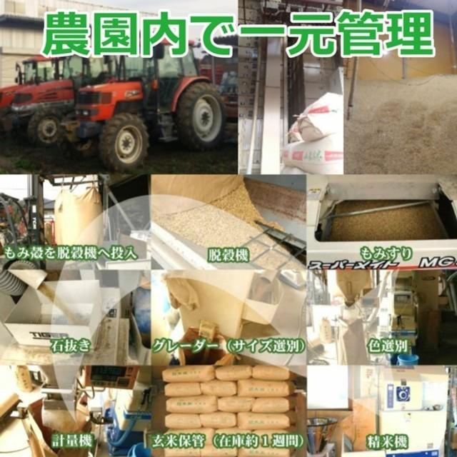 新米 コシヒカリ 10kg こしひかり 無洗米 白米 玄米 お米 米 送料無料 肥料農薬最小限 おこめ コメ 栃木県 産直 ふるさと 2023年産 お祝い 内祝 ギフト