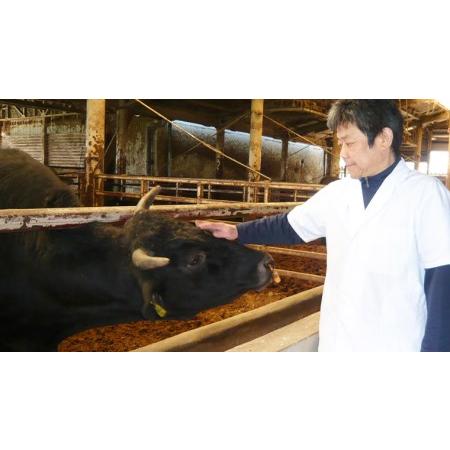 ふるさと納税 茨城県産高級黒毛和牛「常陸牛」　もも焼肉用　480g　[AI009ya] 茨城県八千代町