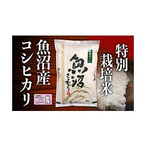 ふるさと納税 魚沼産特別栽培米コシヒカリ　10kg 新潟県十日町市