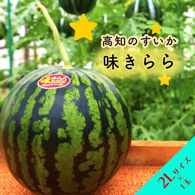 ふるさと納税 いの町 ★5月初旬まで!★すいか(味きらら)1玉　2Lサイズ