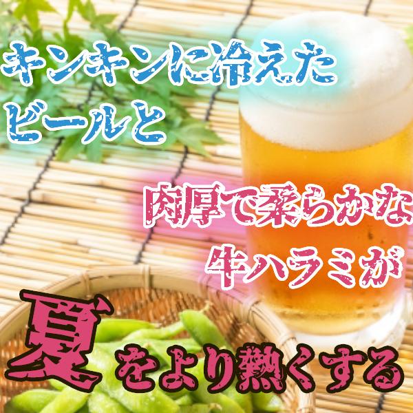 牛肉 肉 牛ハラミ 訳あり タレ漬け 赤身肉 焼肉 はらみ さがり 500g 厚切り お得 安い メガ盛り 小分け 業務用 バーベキュー 冷凍