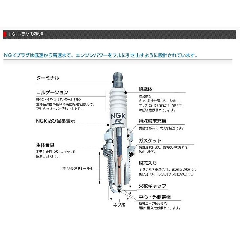 br6hsa-9 リード100 コレクション