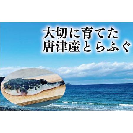 ふるさと納税 唐津産 とらふぐスパイシー唐揚げ250g×3袋(合計750ｇ 佐賀県唐津市