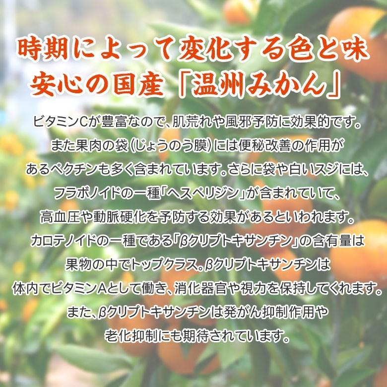 送料無料 有田みかん 下津みかん 和歌山県産  国産 和歌山みかん みかん 温州みかん サイズ おまかせ 4kg  箱買い ご家庭用 秀品  訳あり