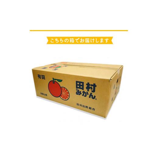 ふるさと納税 和歌山県 湯浅町 AB7127_絶品！ 田村みかん 5kg (S・M・Lサイズのいずれか)