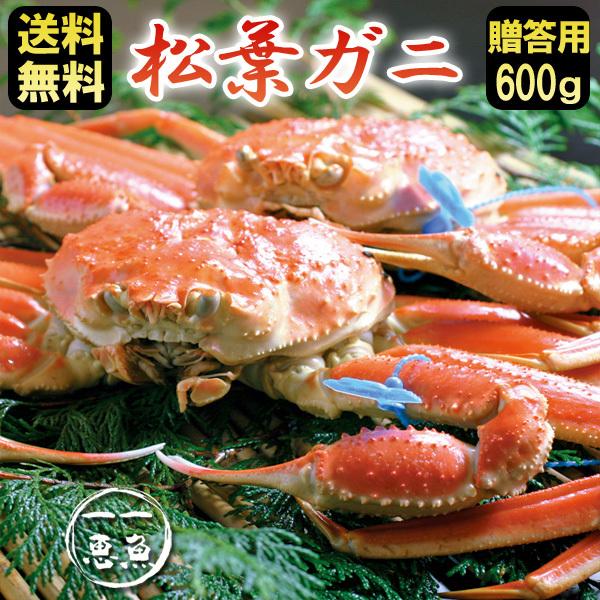 松葉ガニ 約600g ギフト 津居山・柴山・浜坂産 産地直送 送料無料