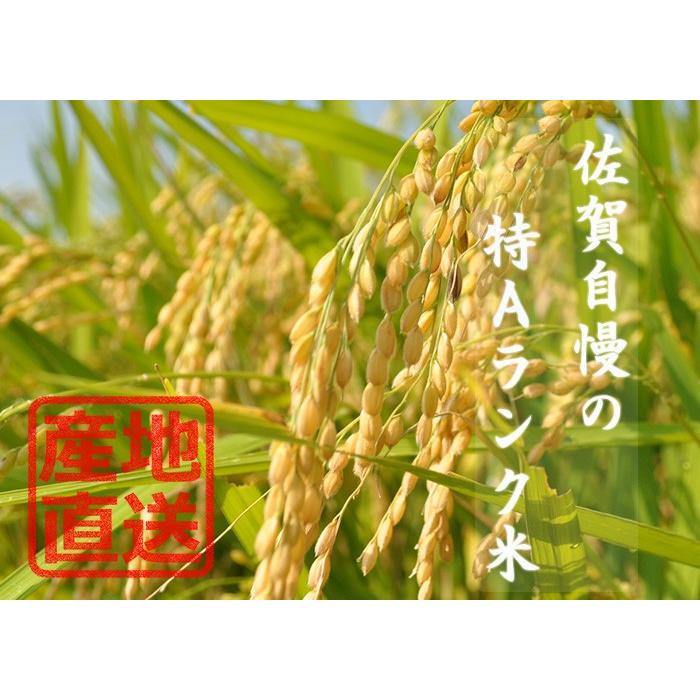 　佐賀県産　さがびより　白米１０ｋｇ  送料無料　13年連続特A受賞米