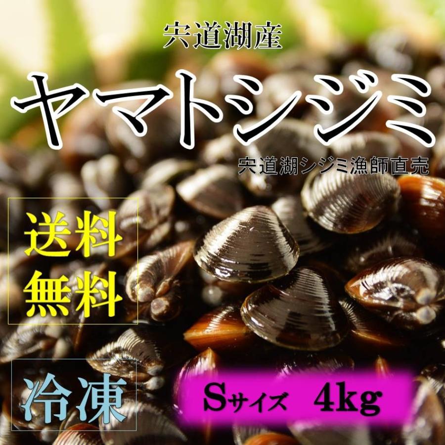 シジミ 宍道湖産 Ｓサイズ ４ｋｇ 送料無料 冷凍 砂抜き済み