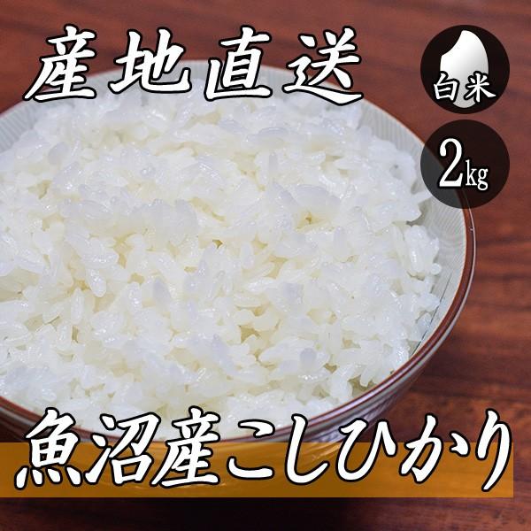 お米 2kg 魚沼産 コシヒカリ 2kg×1袋 令和5年産 米 白米