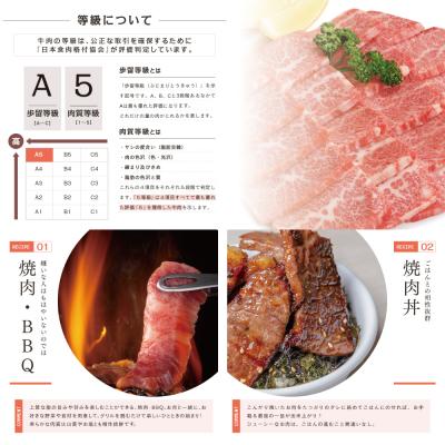 ふるさと納税 南さつま市 A5等級 黒毛和牛 霜降り焼肉用 400g 焼肉 BBQ カミチク 南さつま市